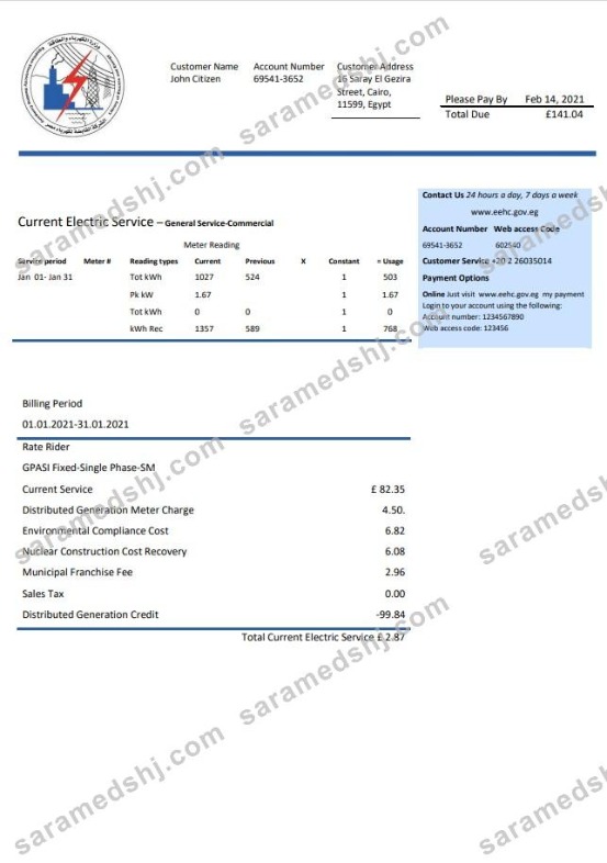 Egypt Egyptian Electricity utility bill template in Word and PDF format